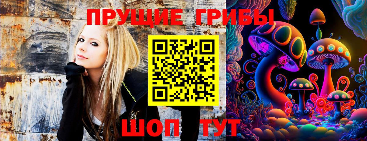 Галлюциногенные грибы Cubensis Лесозаводск