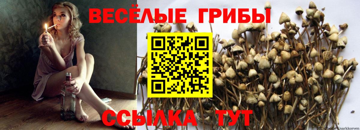 Лесозаводск  Псилоцибиновые грибы Magic Shrooms  Вход с VPN 